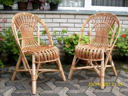 39. Stolice Bigrenicanke